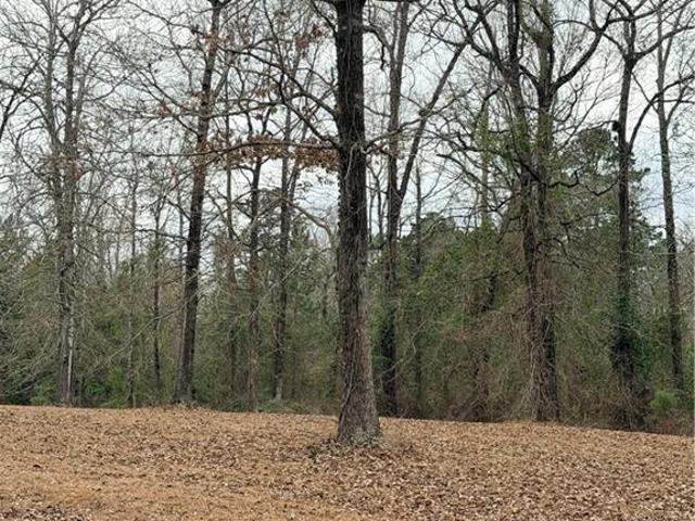 Land for sale in Pollock, Grant Parish