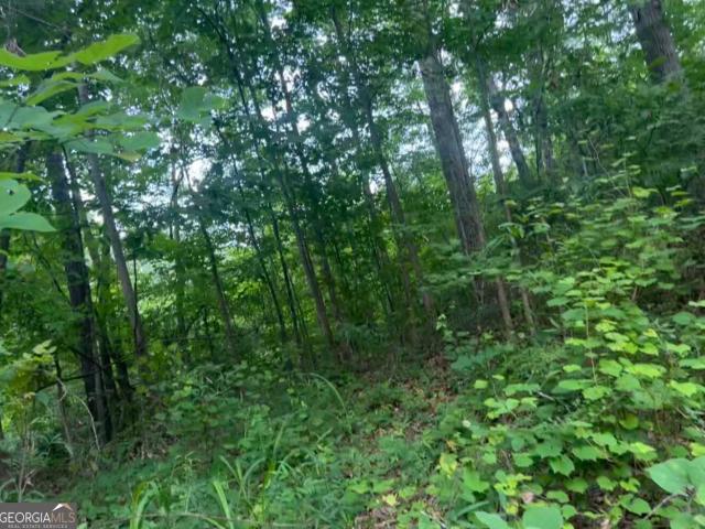 Land for sale in Upson, Georgia