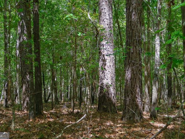 Land for sale in Screven, Georgia