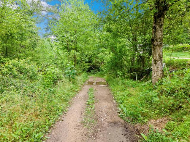 Land for sale in Trenton, Georgia