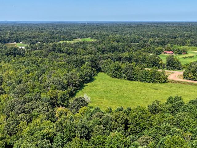 Land for sale in Toone, West Tennessee