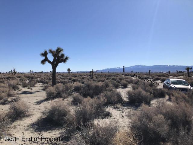 Land for sale in California