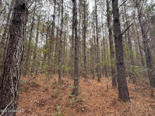Land for sale in Magnolia, Mississippi