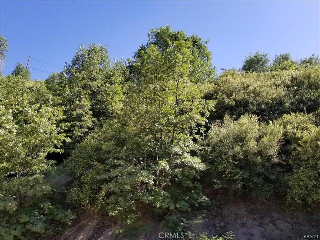 Land for sale in Cedar Glen, California
