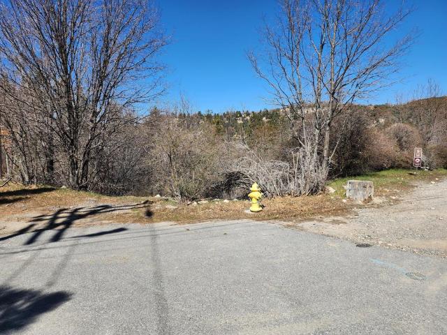 Land for sale in Cedar Glen, California