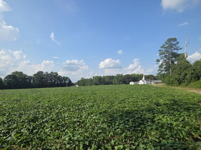 Land for sale in Newton Grove, Johnston County