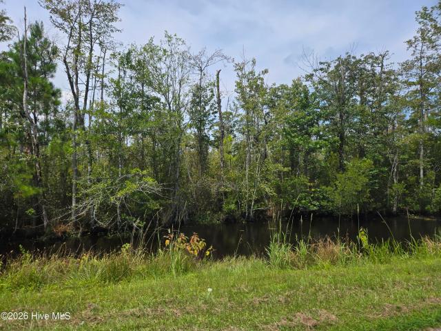 Land for sale in Columbia, North Carolina