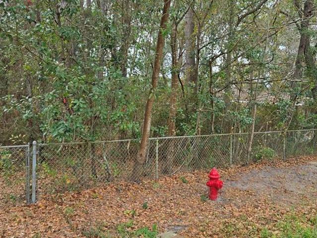 Land for sale in Allenhurst, Georgia