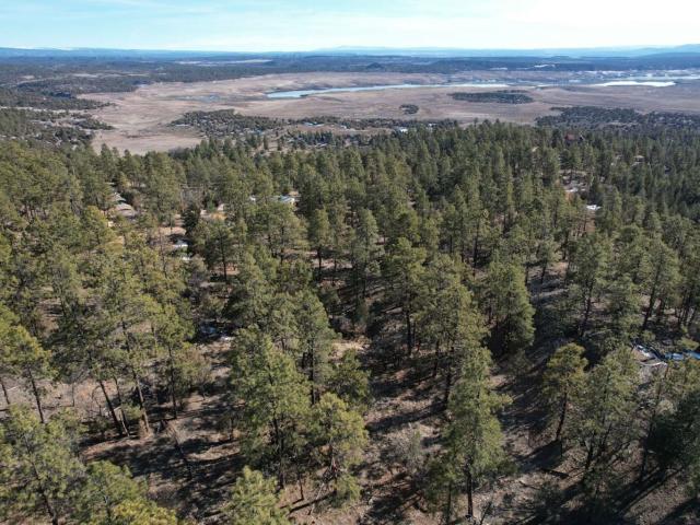 Land for sale in Los Ojos, New Mexico