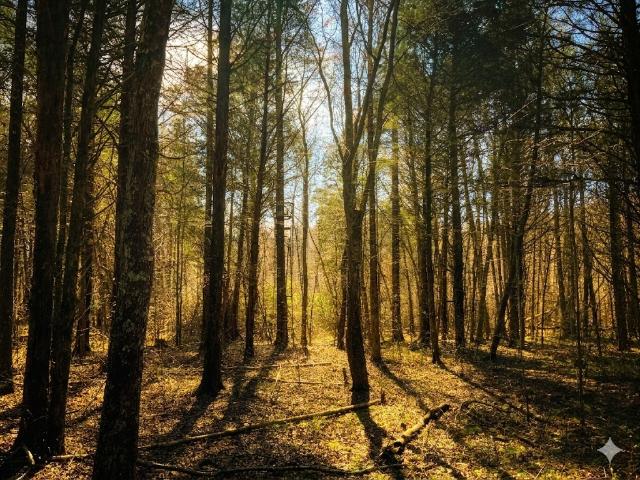 Land for sale in Tennessee