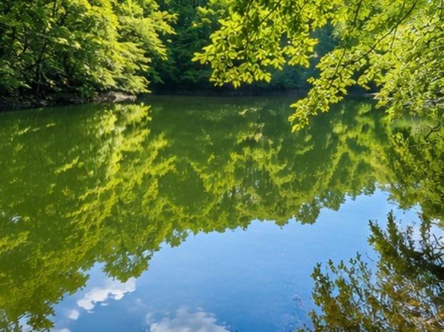 Land for sale in Tennessee