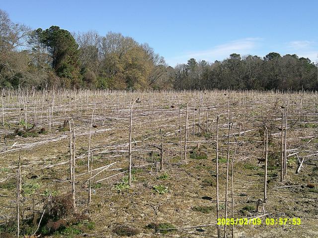 Land for sale in Unadilla, Georgia