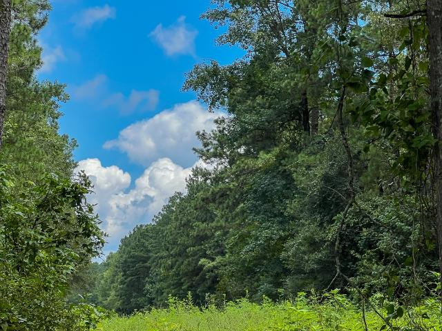 Land for sale in Vidor, Texas