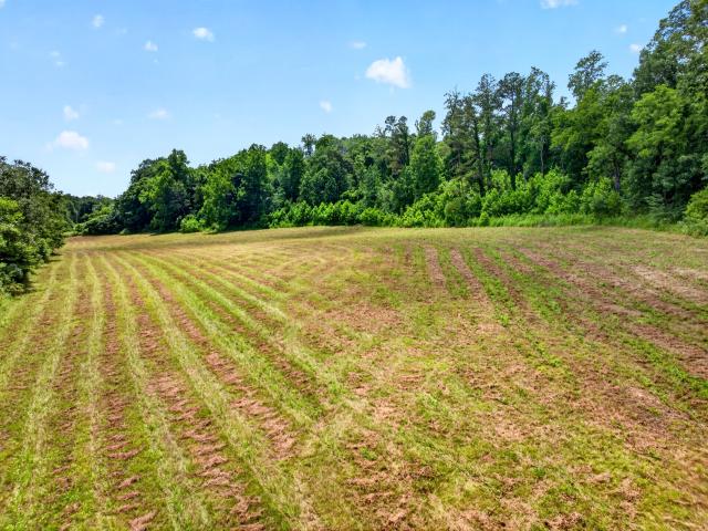Farm for sale in Tennessee