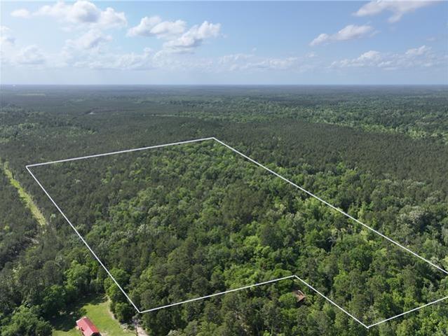 Land for sale in Springfield, Louisiana