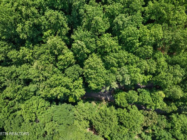 Land for sale in Tennessee