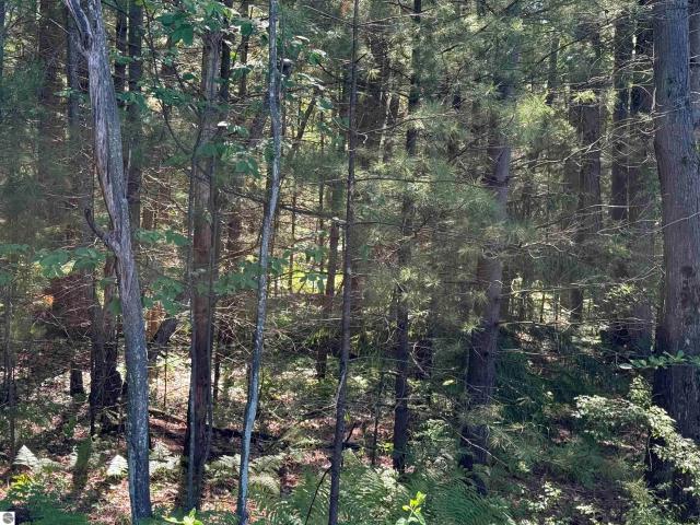 Land for sale in East Tawas, Michigan