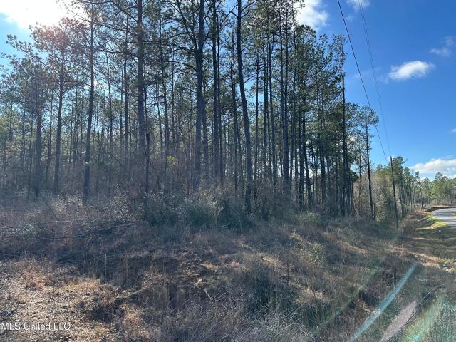 Land for sale in Poplarville, Mississippi