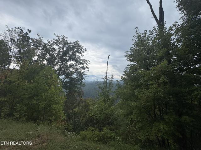 Land for sale in Tennessee