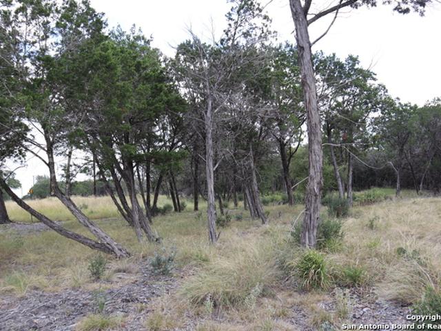 Land for sale in Pipe Creek, Texas