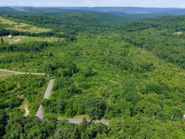 Land for sale in Round Knob, Broad Top Township