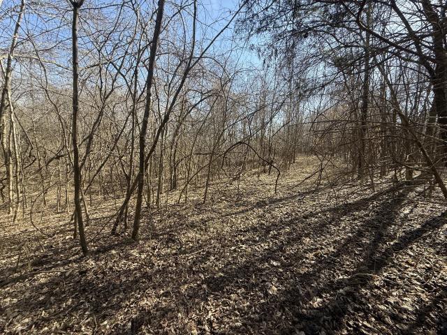 Land for sale in Tennessee