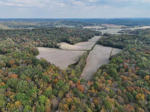Land for sale in Morgantown, Kentucky