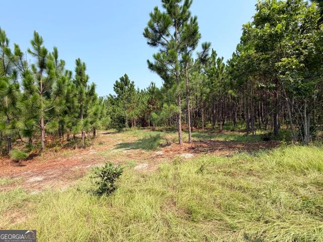 Land for sale in Alamo, Georgia