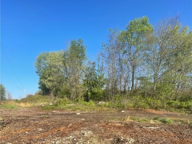 Farm for sale in Elton, Pennsylvania