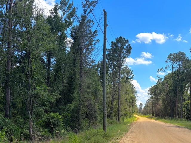 Land for sale in Hazlehurst, Georgia