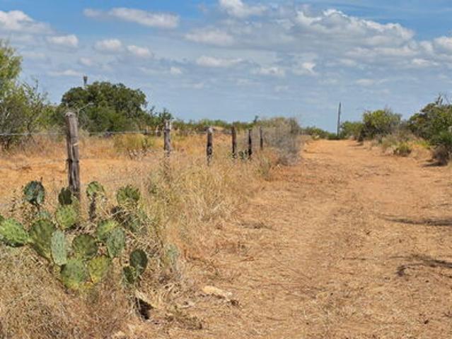 Farm for sale in Carrizo Springs, Dimmit County