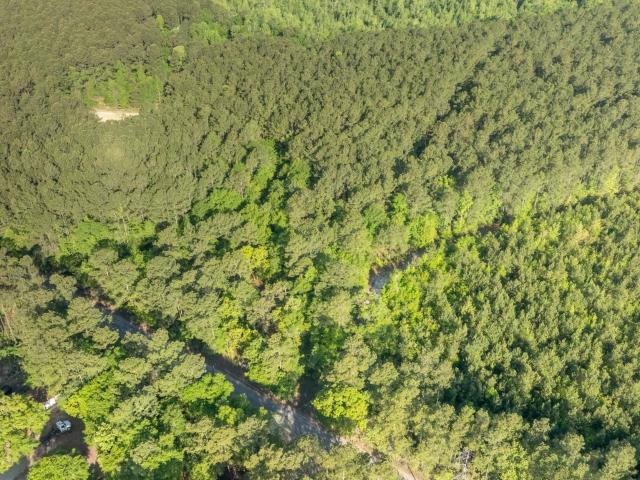Land for sale in Andrews, South Carolina