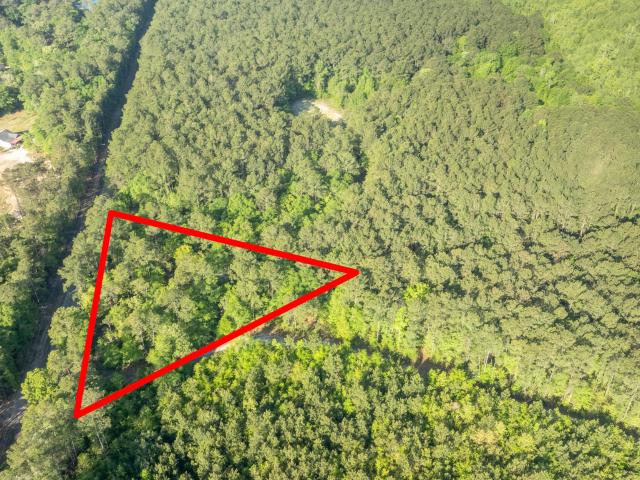 Land for sale in Andrews, South Carolina