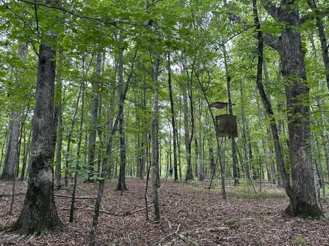 Land for sale in Haddock, Georgia