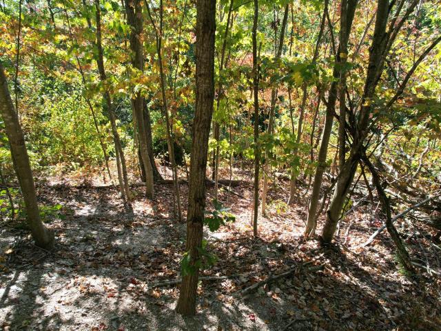 Farm for sale in Flemingsburg, Kentucky