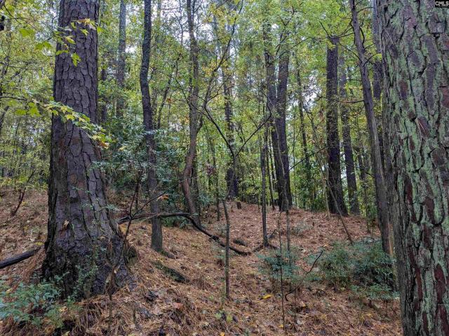 Land for sale in Winnsboro, South Carolina
