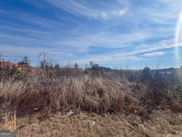 Commercial for sale in Spalding, Georgia