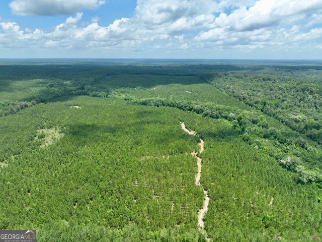 Land for sale in Ideal, Georgia