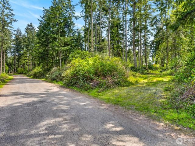 Land for sale in Freeland, Washington