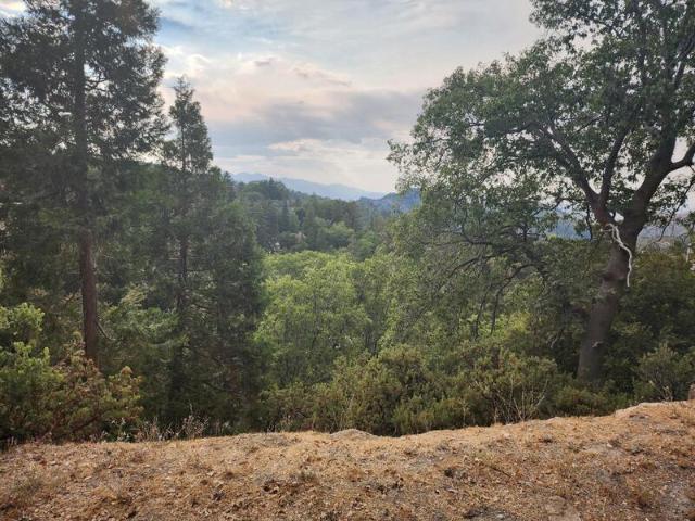 Land for sale in Lake Arrowhead