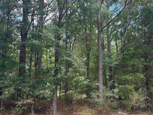 Land for sale in Tennessee