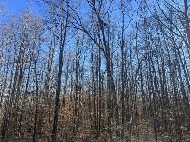 Land for sale in Tennessee