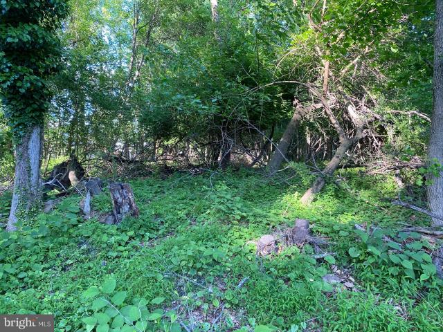 Property for sale in Delaware