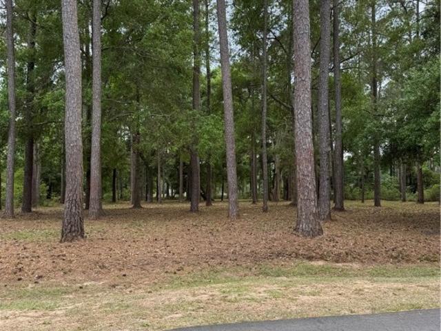 Land for sale in Georgia