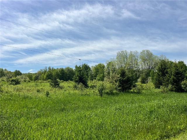 Land for sale in New York