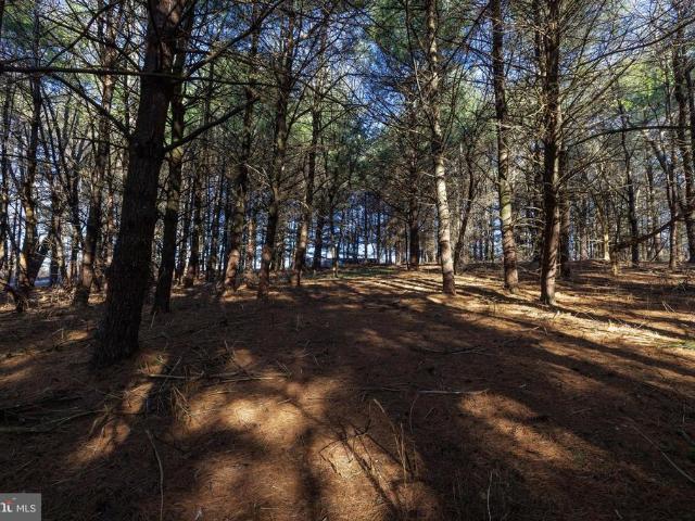 Land for sale in Virginia