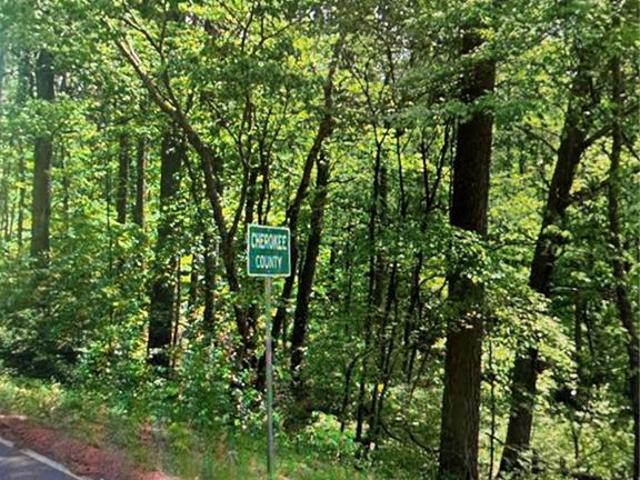 Land for sale in Ball Ground, Georgia