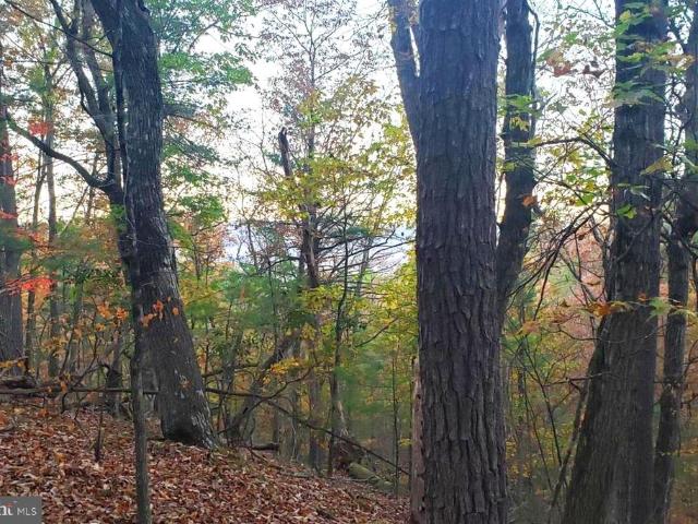 Land for sale in Virginia