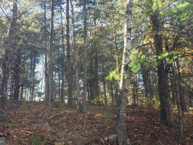 Land for sale in Virginia