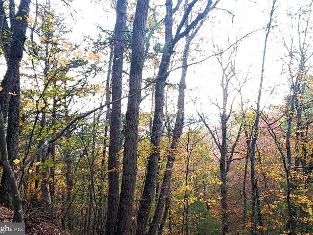 Land for sale in Virginia